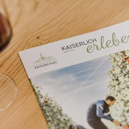 Ferienwohnung Am Weinberg Boetzingen Экстерьер фото